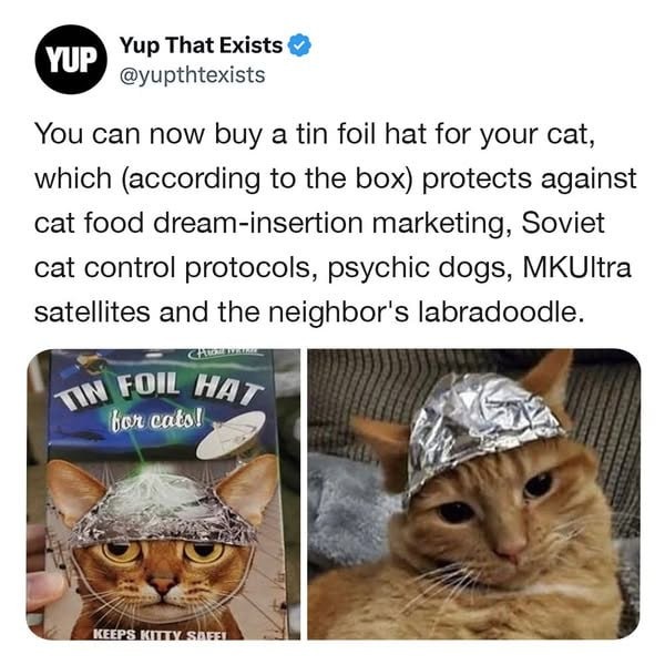 Yes, you can now buy a tin foil hat for your cat, because why not? - meme