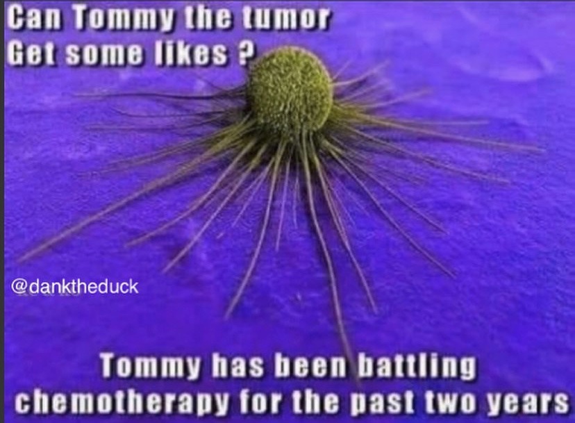 Tommy - meme