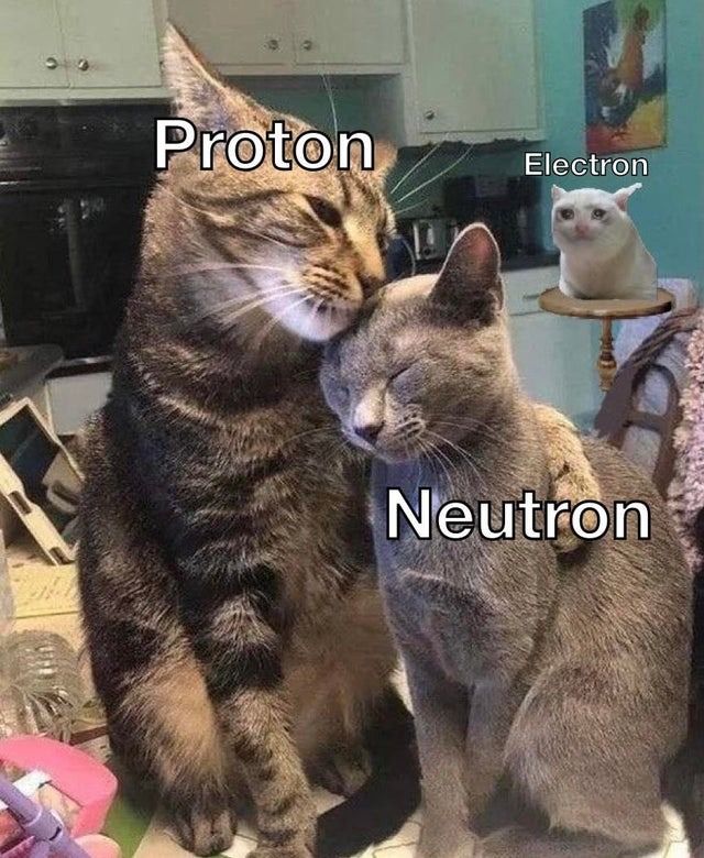 Protons and neutrons love each other - meme