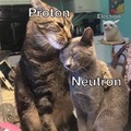 Protons and neutrons love each other