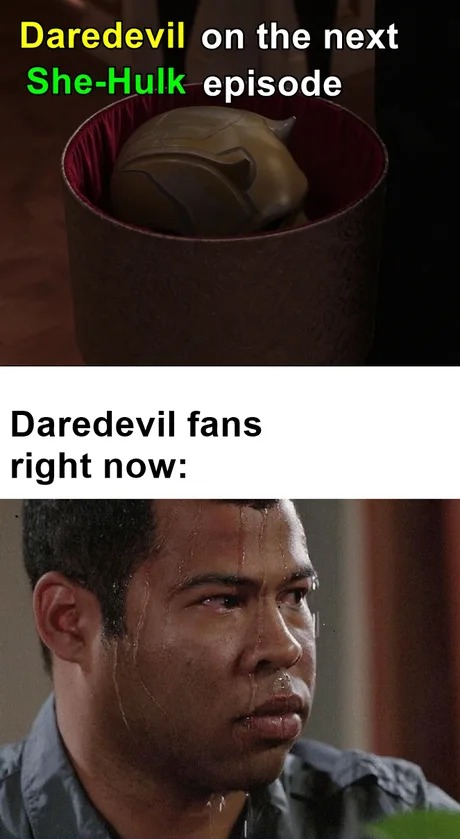 Daredevil in the next episode of She Hulk - meme