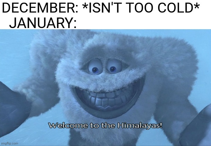 January cold meme