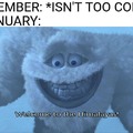 January cold meme