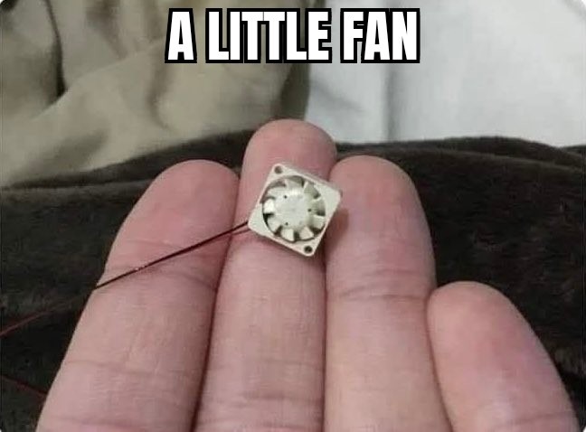 It's small - meme