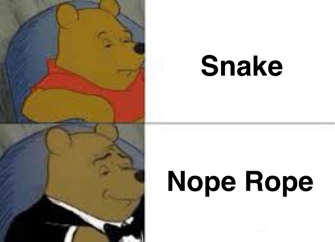 Snake - meme