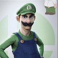 Si no entendieron es qué hay un tipo meme en el fandom de Mario de Que Luigi siempre gana sin hacer nada