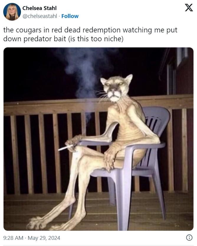 RDR2 cougars meme