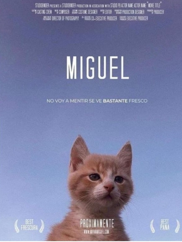 La peli es god o mierda - meme