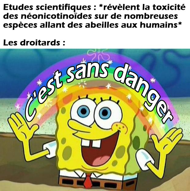 Néonicotinoïdes - meme