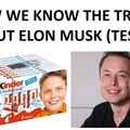 Elon musk is a reptile