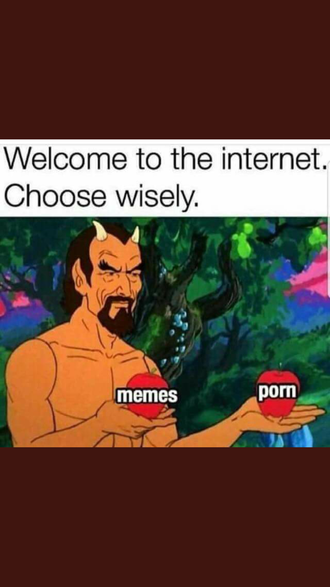 Solo hay 2 opciones - meme