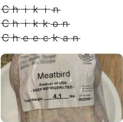Meat bird - meme
