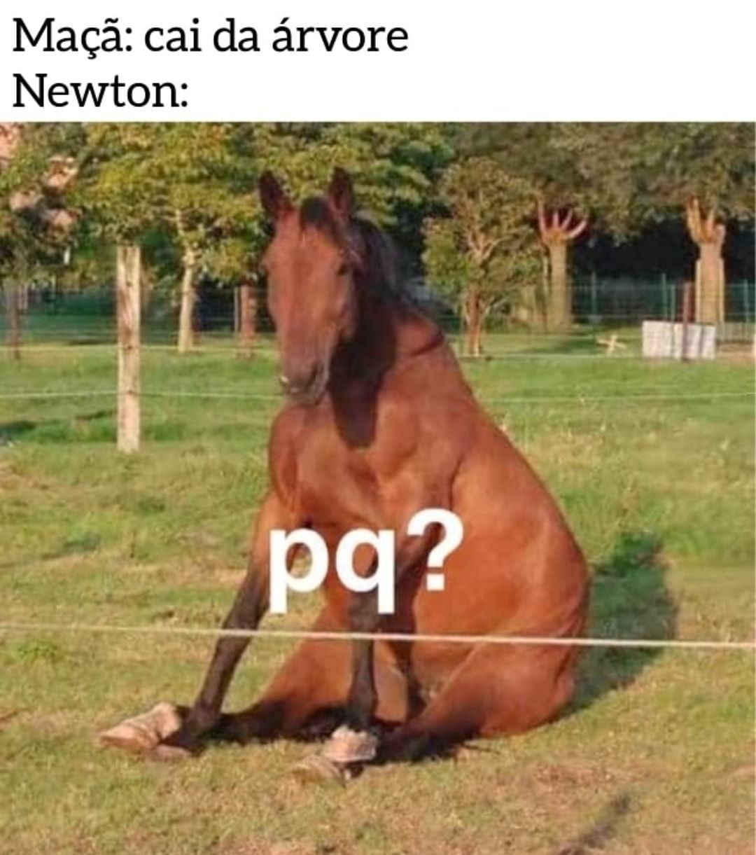 Newton be like: - meme