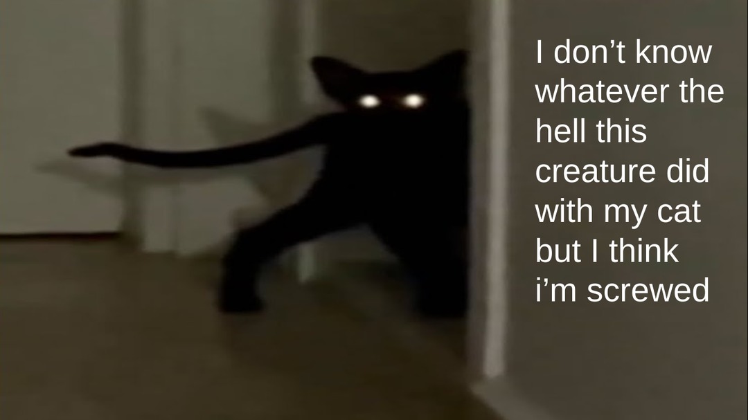 Demon Cat - meme