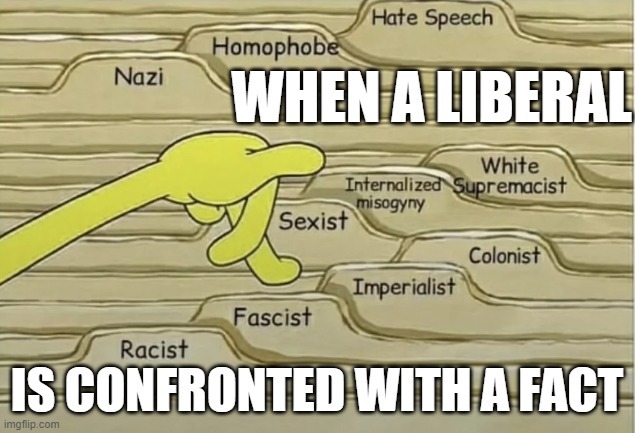 when a leftist is confronted by facts! - meme