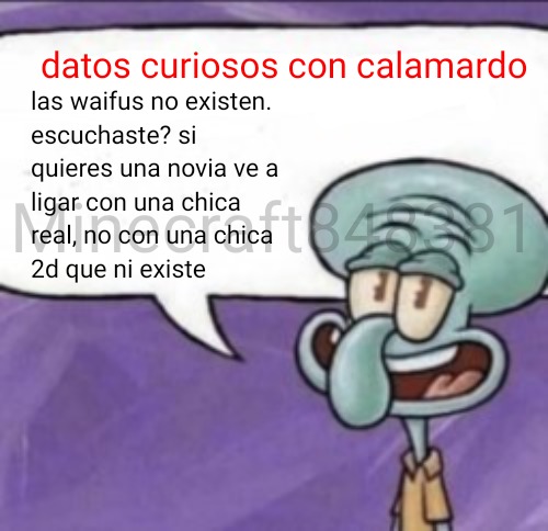 Las waifus no existen - meme