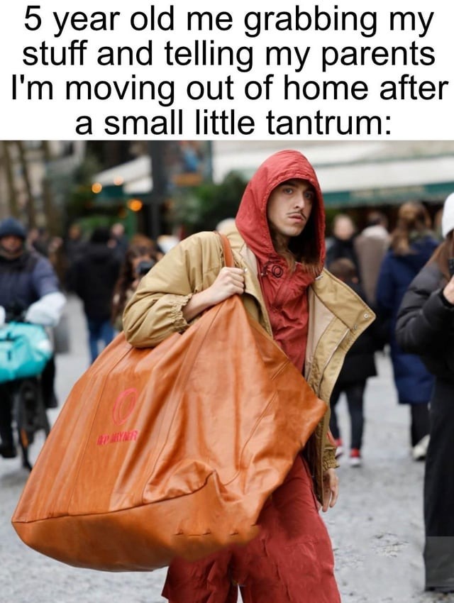 Childhood tantrum - meme