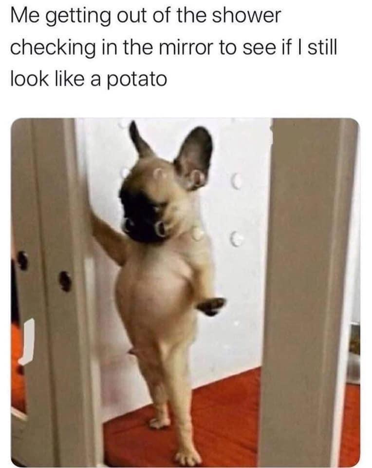 The best Potato memes :) Memedroid