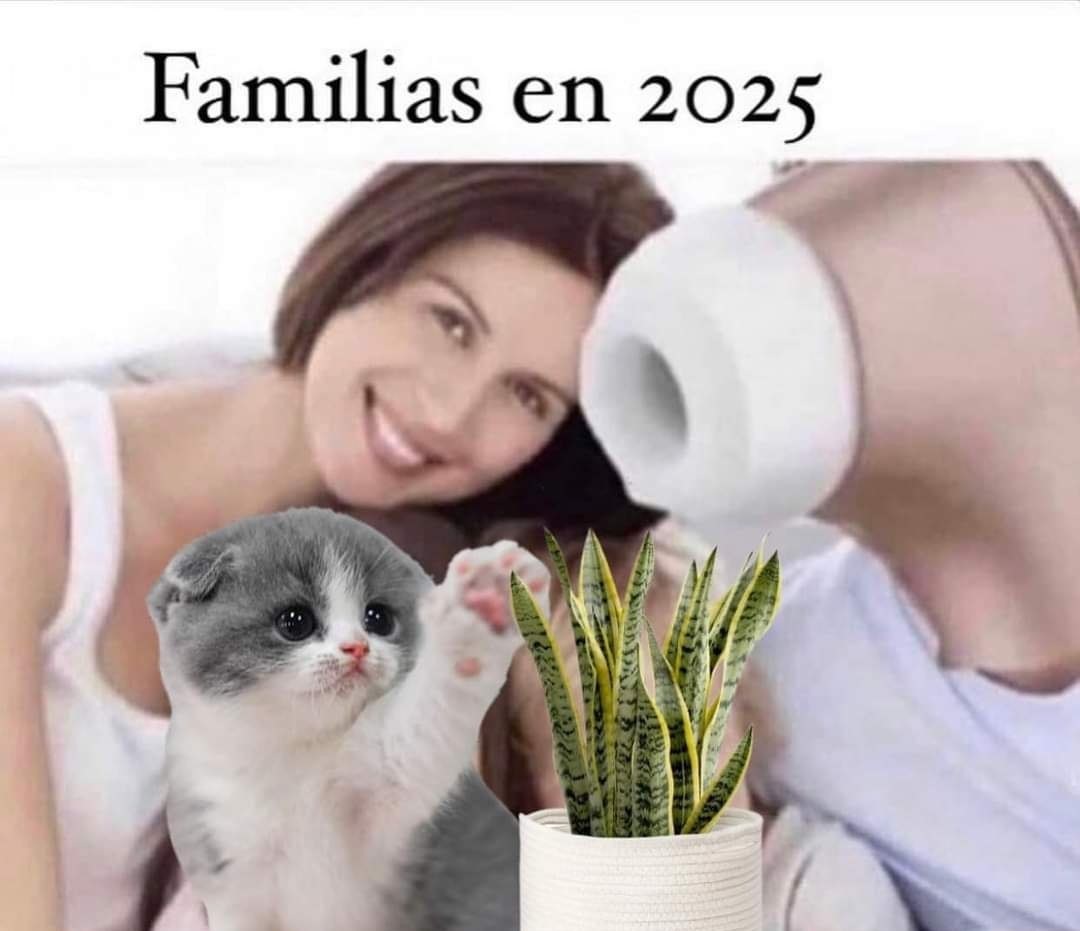 Familias en 2025 - meme