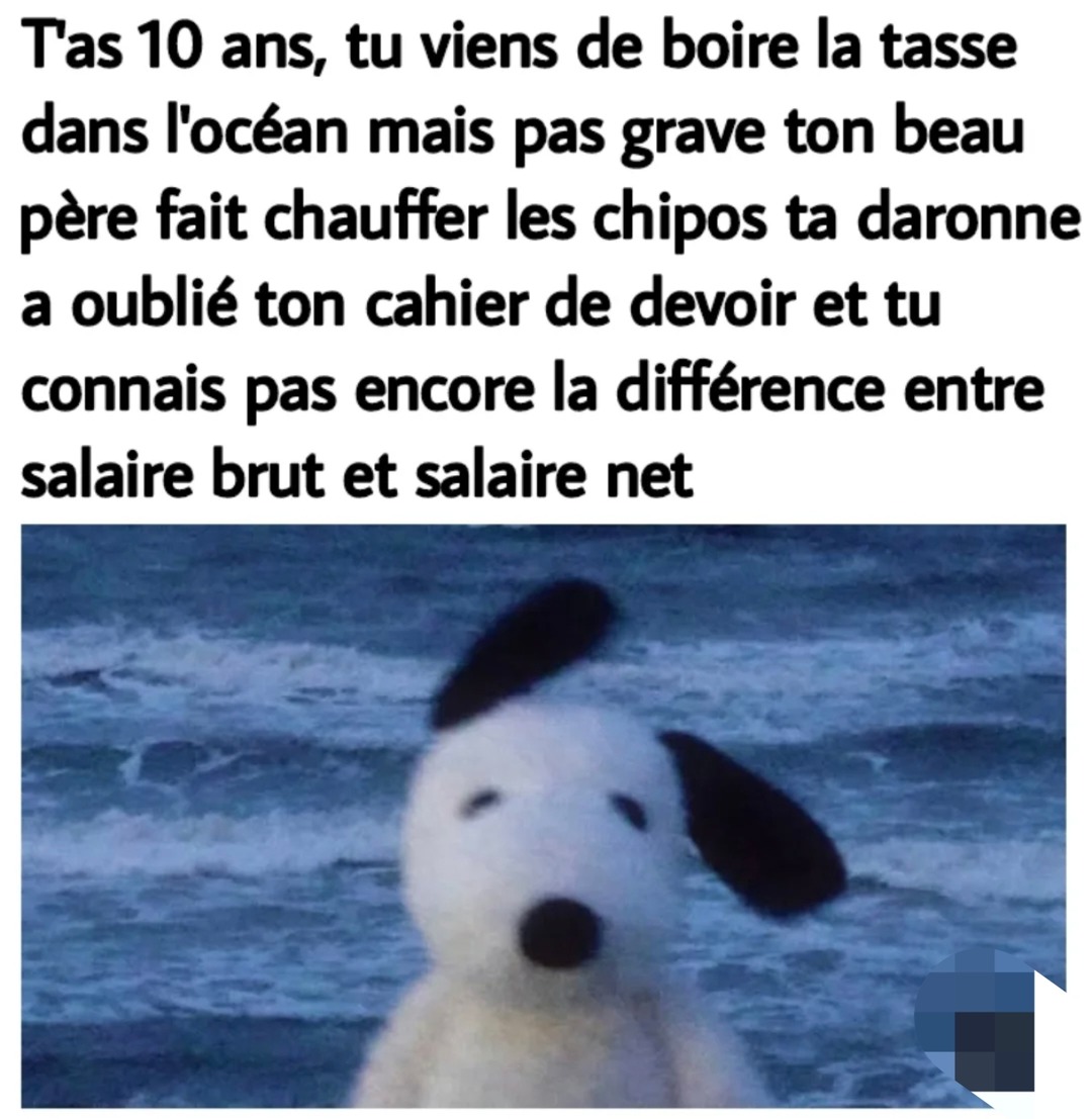 10 ans, la tasse, les chipos et l'insouciance fiscale - meme