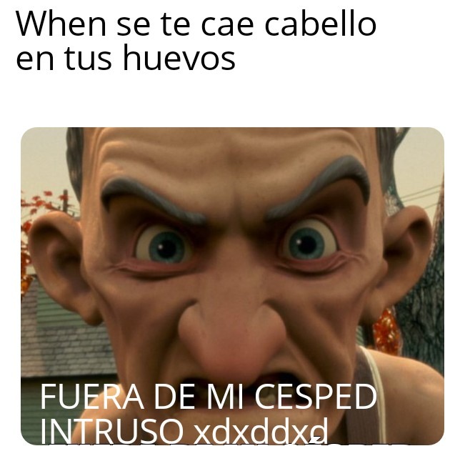 primer momo xd - meme