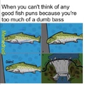 comment your favorite fishes