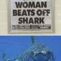 Shark attack?