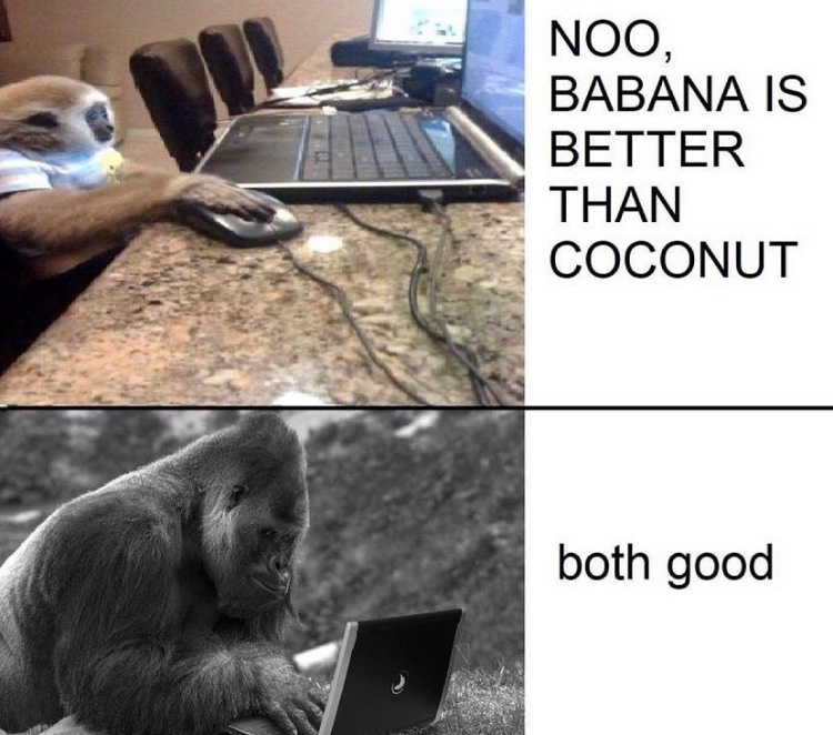 gorilla - meme