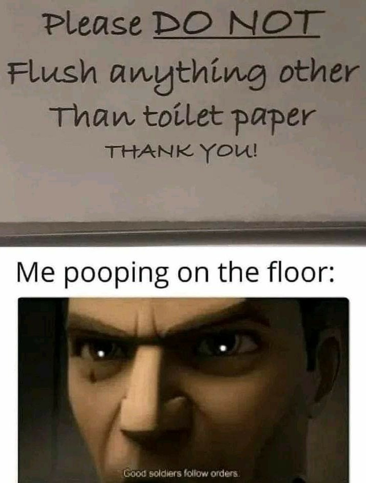 Why even have a toilet? - meme