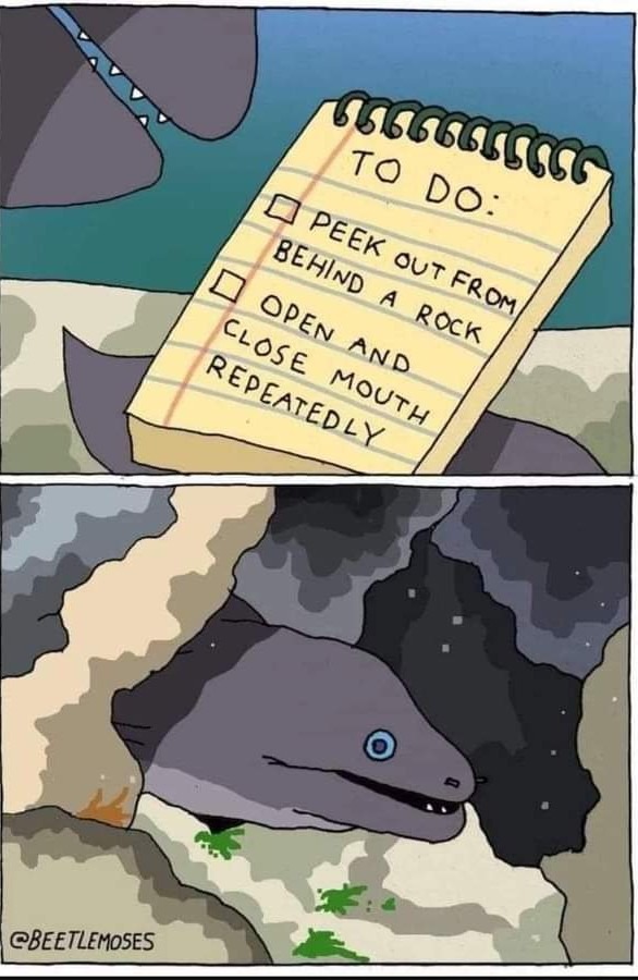 Awww - meme