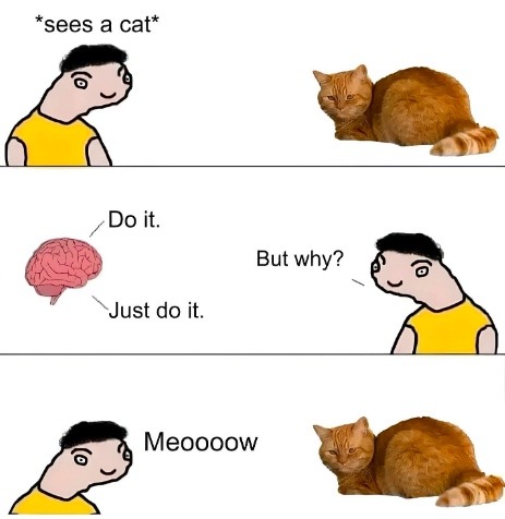 meow ? - meme