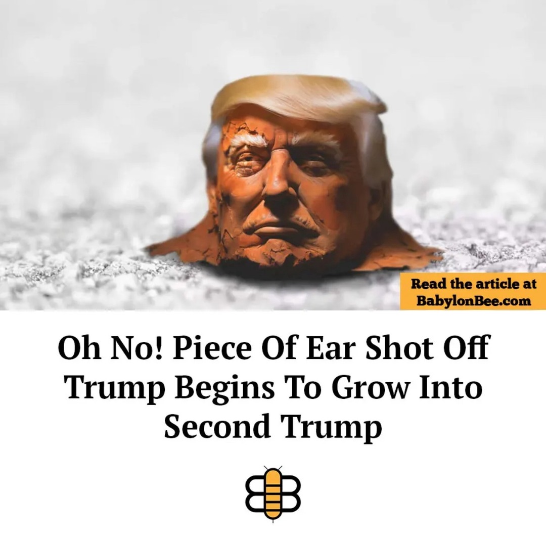 Proposition to give Trump a Purple Heart - meme