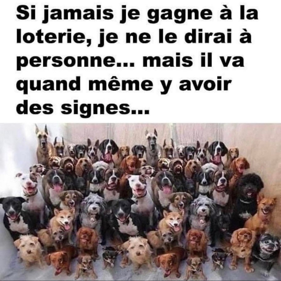 Gagner au loto et rester discret... ou presque - meme