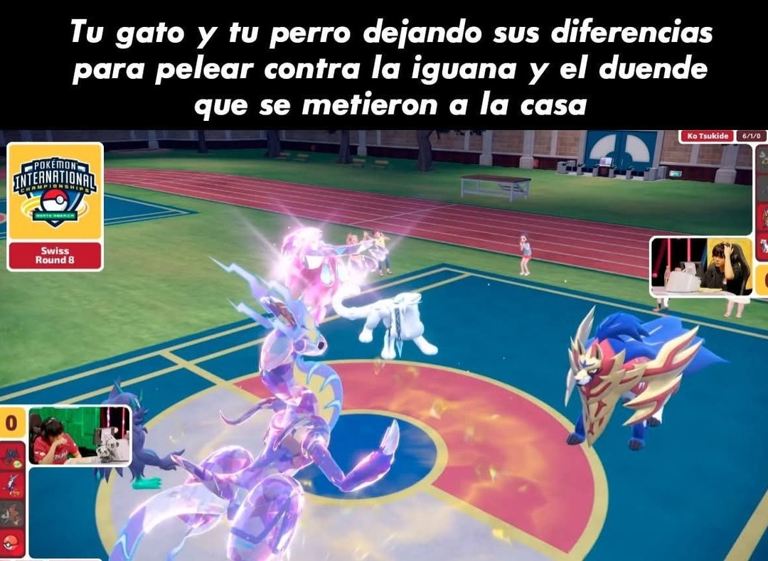 cuando tu gato y tu perro se unen contra el duende - meme