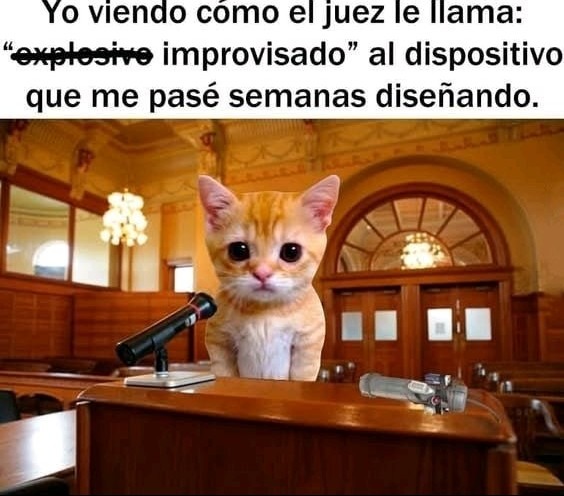 Mi primer meme 