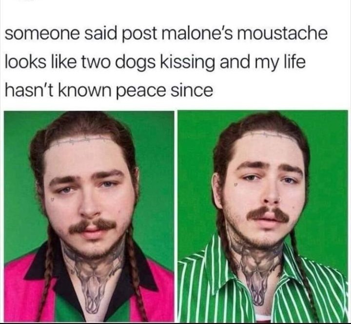 Leave him Malone - meme