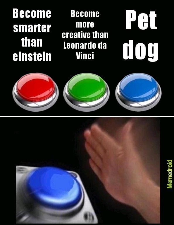 Pet dog - meme