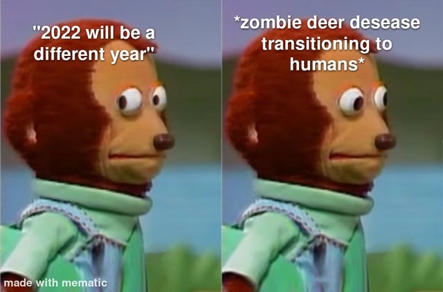 2022 will definitely be a different year - meme