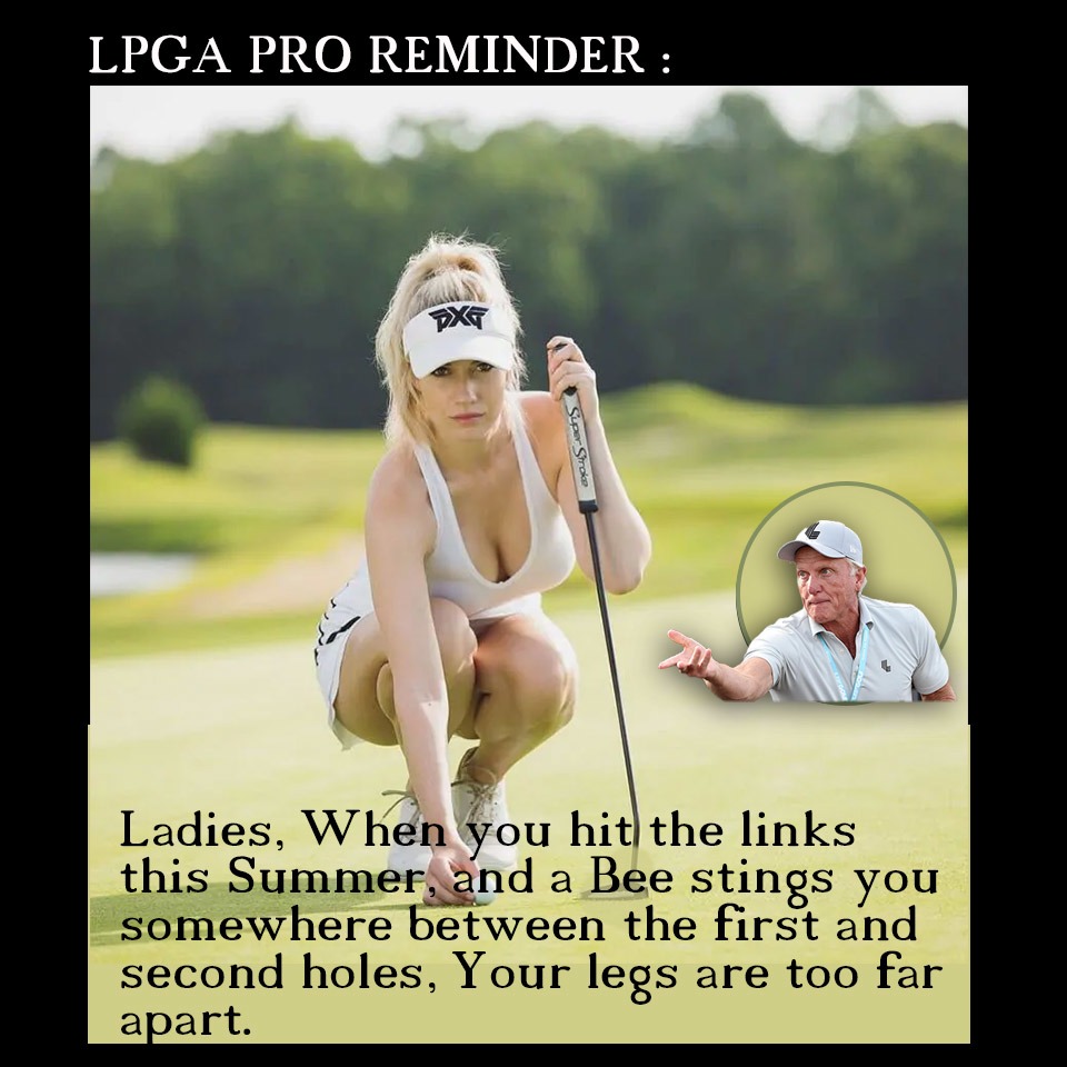 Summer Golf Reminder: - meme