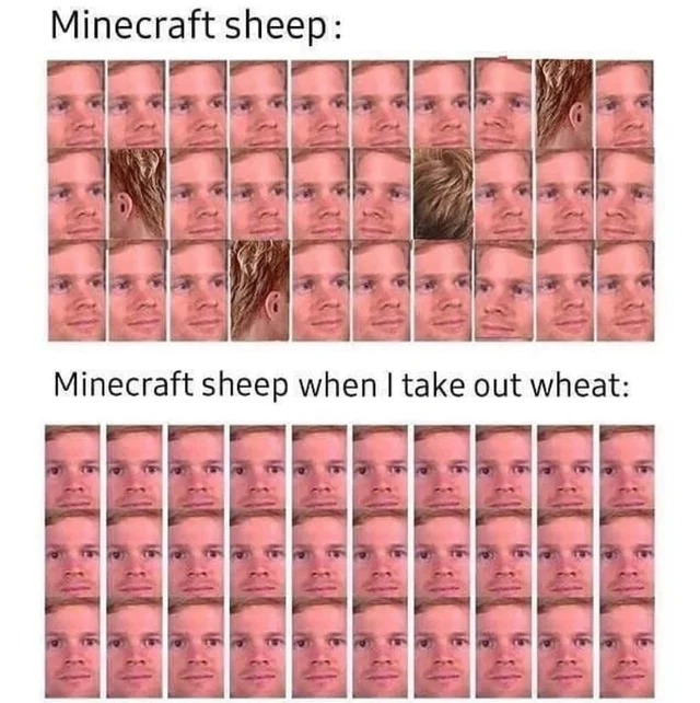 Minecraft sheep - meme