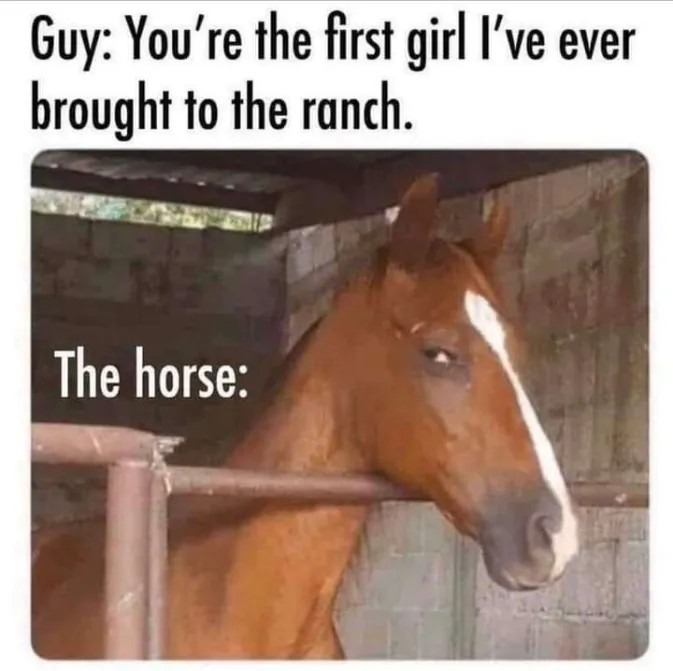 The horse - meme