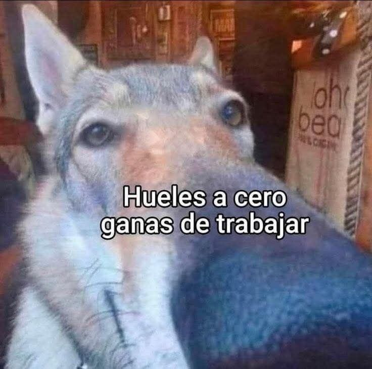 Tiene razon - meme
