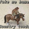 country roads take me home