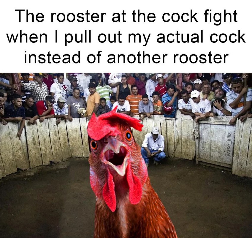 Cock fight meme