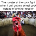 Cock fight meme