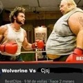 Wolverine vs TheLoriRem