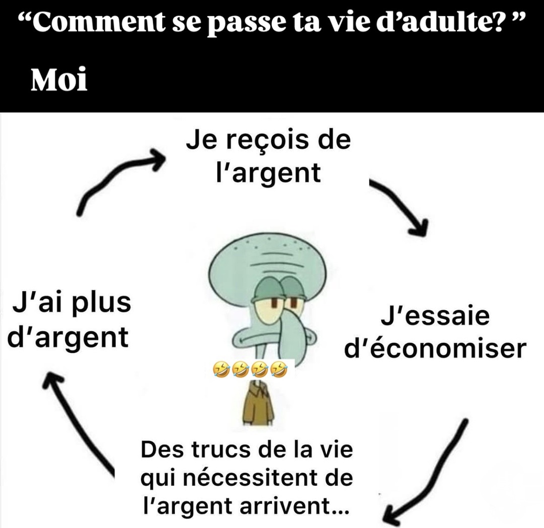 La vie d’adulte c’est juste gérer l’argent qui part en fumée - meme