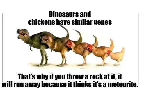 chicken meteor trauma unlocked - meme