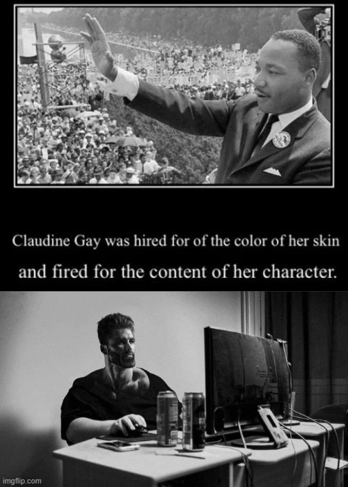Claudine Gay fact - meme
