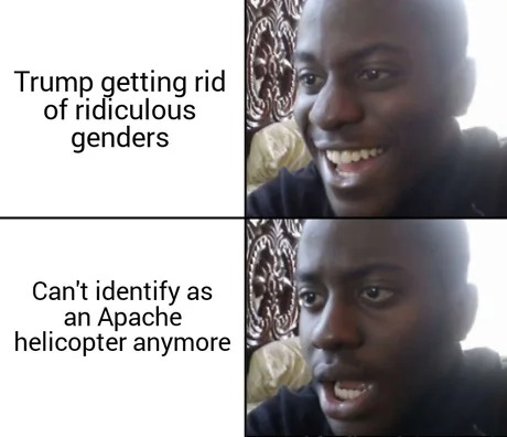 Guys... I can't identify as an apache attack helicopter anymore - meme